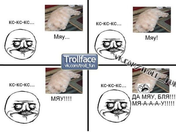 Мяу мужик