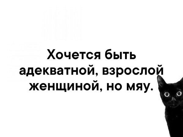 Хочется быть взрослой женщиной но мяу