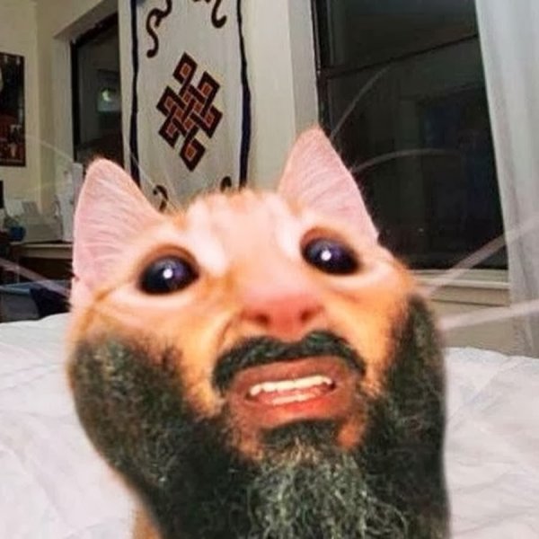 Усатый кот улыбается