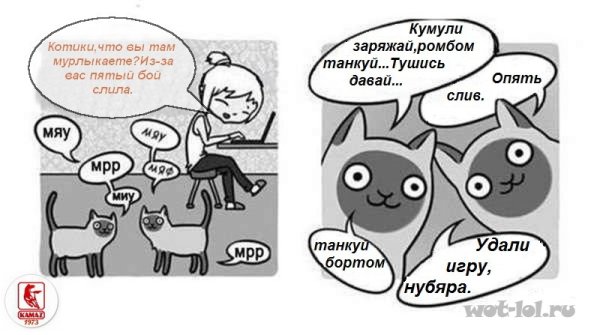 Кот и программирование Мем