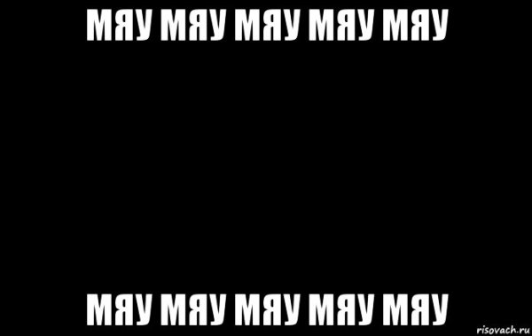 Мяу мяу мяу