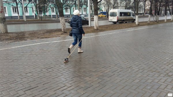 Человек на поводке