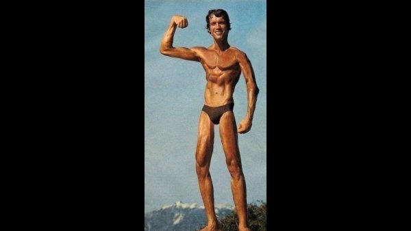 Шварценеггер дрыщ