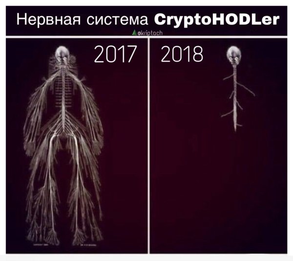Нервная система Мем