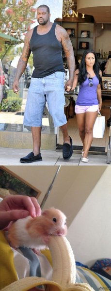 Шакил о Нил с женой