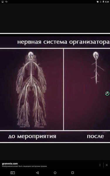 Моя нервная система