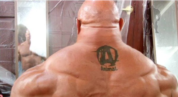 Джо Ладниер шея