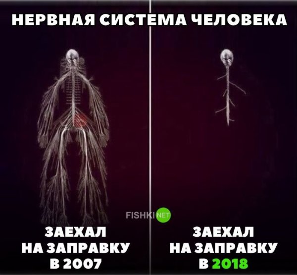 Приколы про нервы