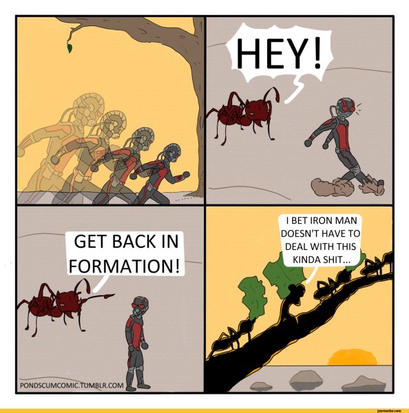 Муравей Мем