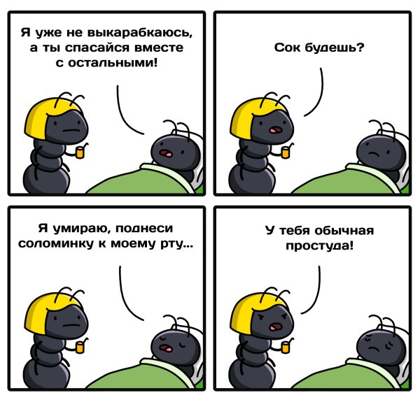 Шутки про муравьев