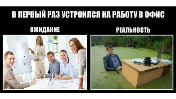 Представление и реальность