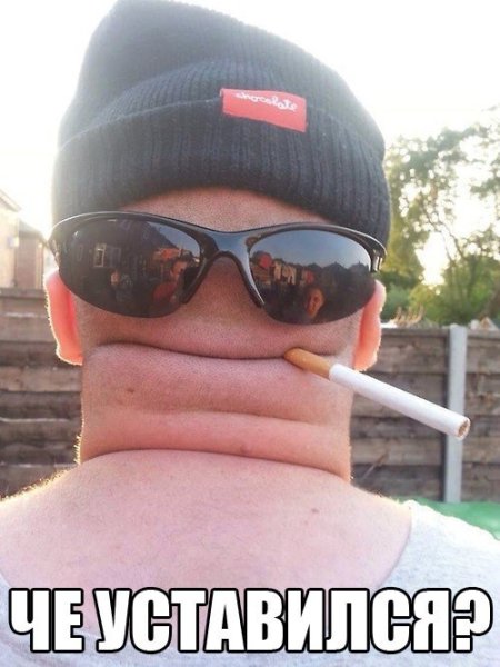 Смешные картинки на аватарку