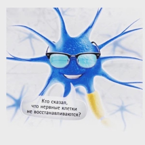 Нервные клетки прикол