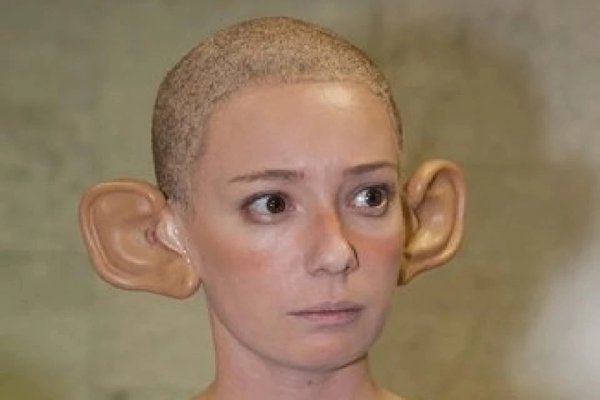 Чулпан лысая