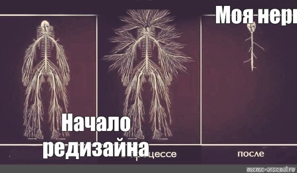 Нервная система Мем