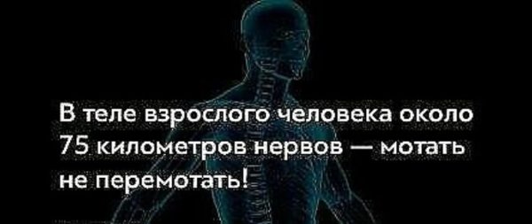 Интересные факты о нервной системе человека