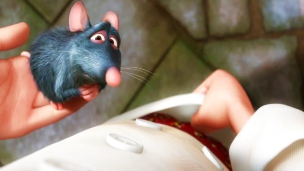 Рататуй мемы с крысами