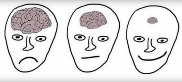 Мозг умного человека и тупого