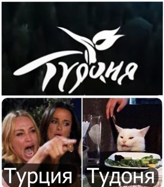 Мем ся котом и девушками