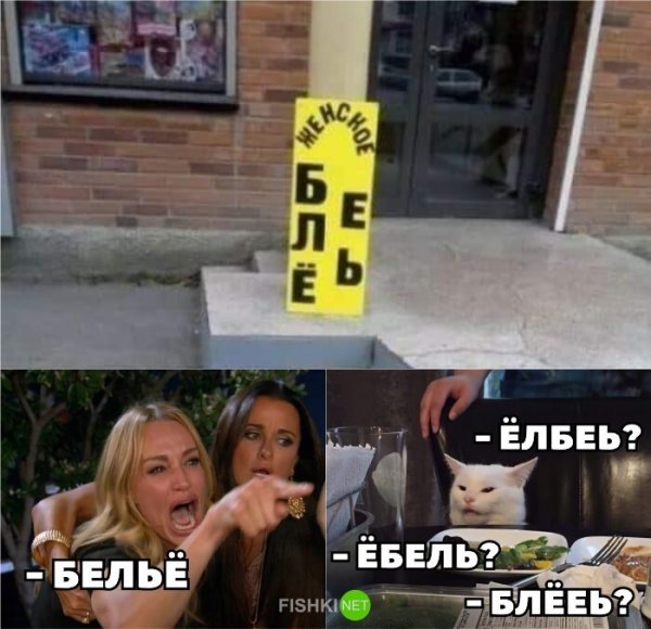 Мем с котом и двумя женщинами