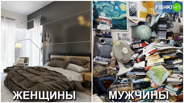 Порядок и беспорядок