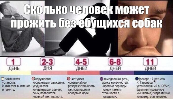 Сколько человек может прожить без сна