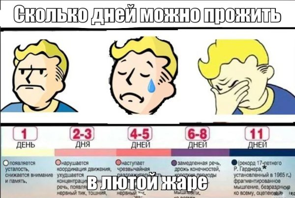 Сколько человек может прожить без сна