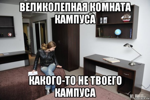 Мемы кампус