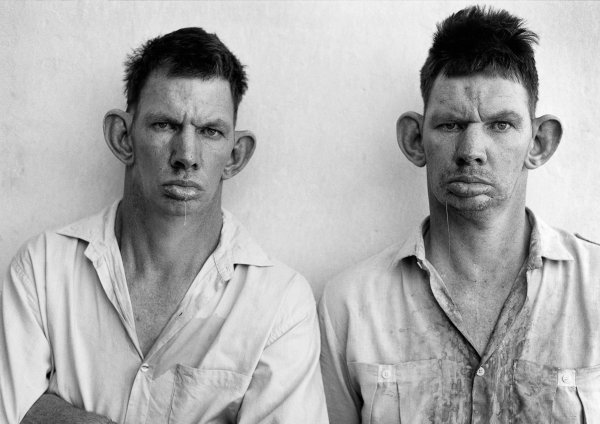 Братья Биба и Боба