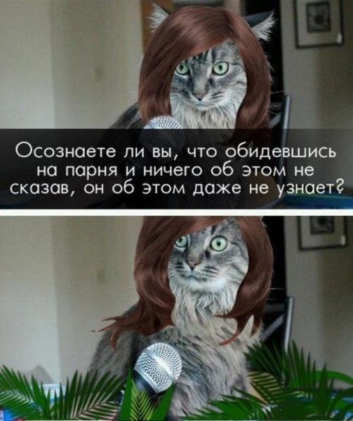 Мемы про обиженную девочку