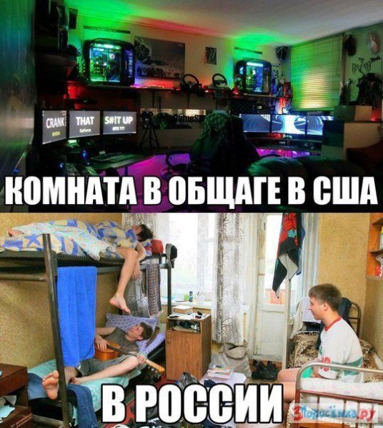 Общежитие приколы