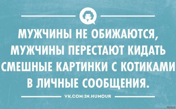 Мужчины не обижаются, мужчины