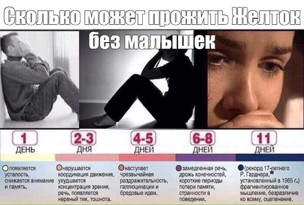 Сколько человек может жить без сна