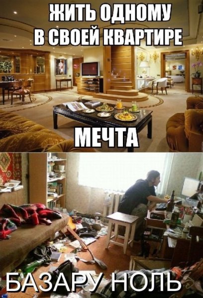 Прикольные фото в квартире