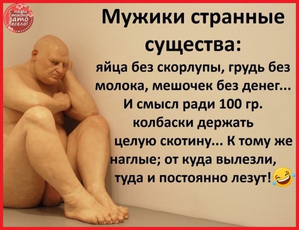 Смешные шутки про лысых