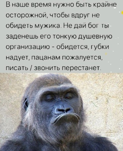 Обиженные мужчины цитаты