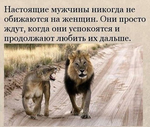 Настоящие мужчины никогда не обижаются на женщин они