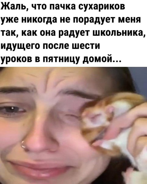 Девушка с хомяком Мем