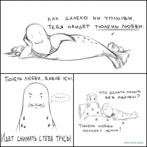 Тюлень любви завив усы идет снимать с тебя трусы
