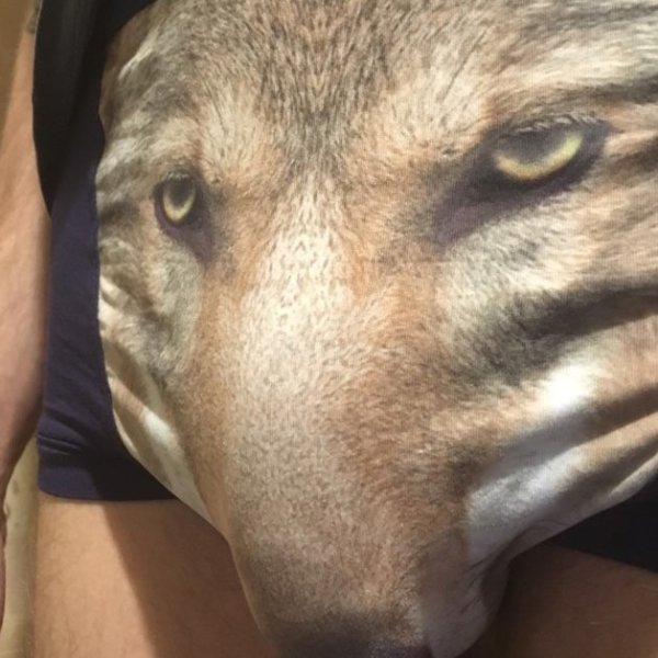 Трусы с носом волка