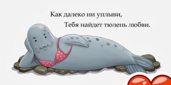 Тюлень шутки