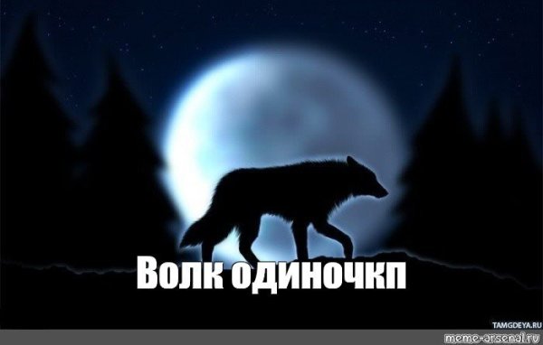 Волк одиночка Мем