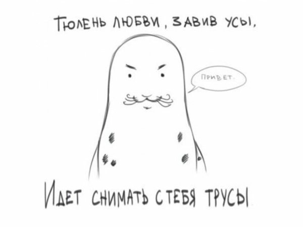 Тюлень любви завив усы
