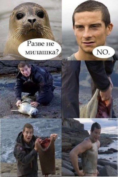 Беар Гриллс Адаптируйся импровизируй и преодолевай