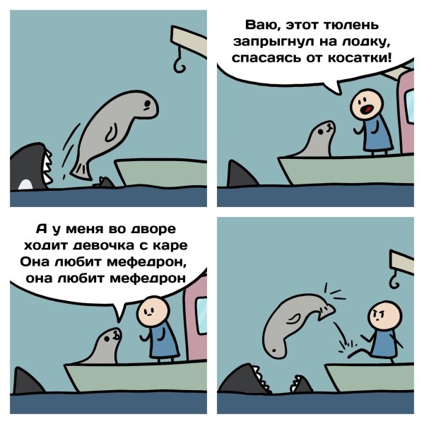 Анекдоты про тюленей