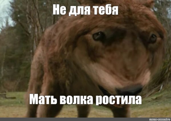 Волк Мем