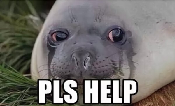Грустный тюлень