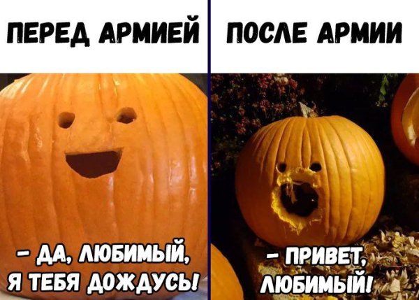 Оля тыква Мем