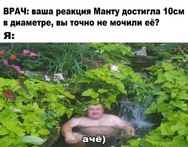 Аче Мем
