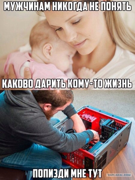 Шутки про подарки